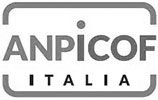 logo anpico bnf